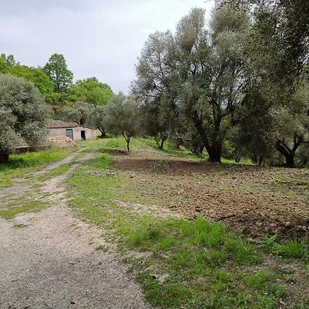 B&B Le Casette SantʼOnofrio Exteriör bild