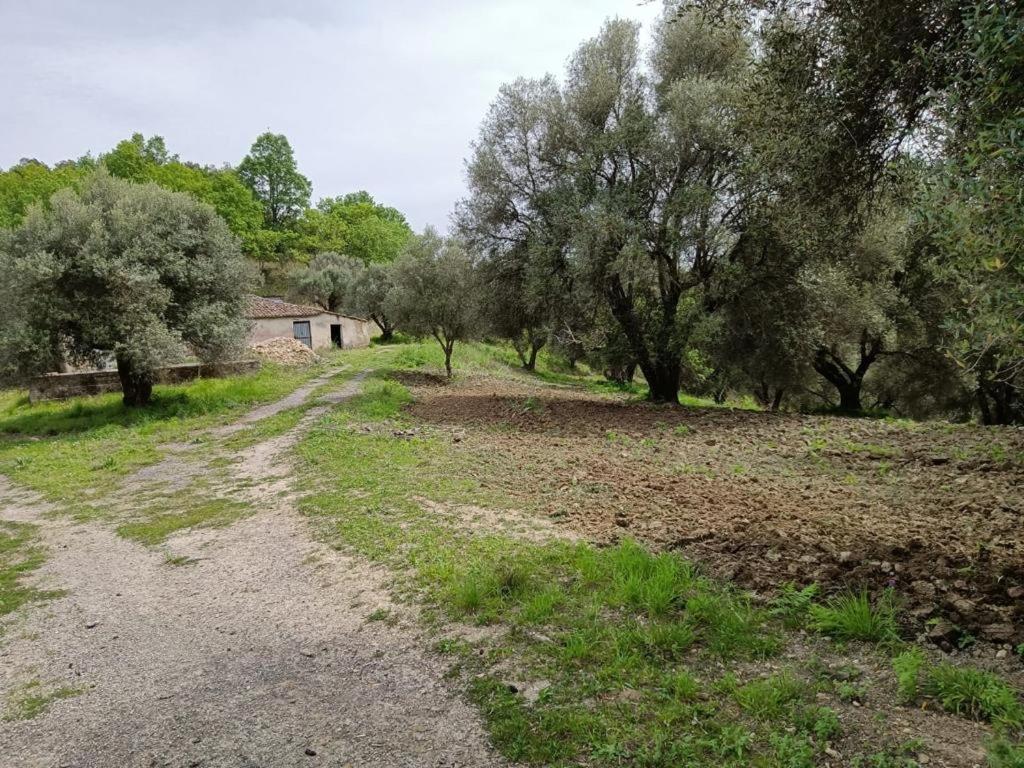 B&B Le Casette SantʼOnofrio Exteriör bild